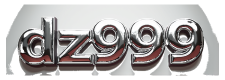 dz999 logo